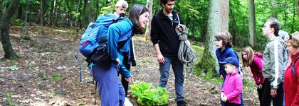 Wandern Sauerland Familienprogramm im Wald