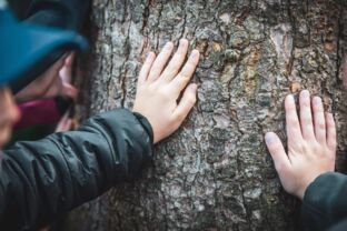 Waldbaden Sauerland Hand berührt Baumstamm