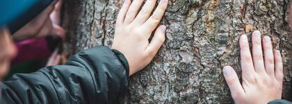 Waldbaden Sauerland Hand berührt Baumstamm